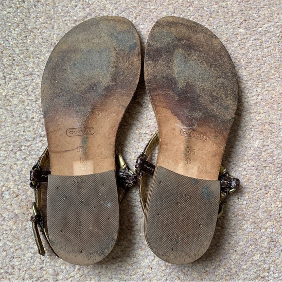 COACH Python Leather Brown and Gold Lobster Claw Thong Flat Sandal Size 5 1/2 - Picture 8 of 9